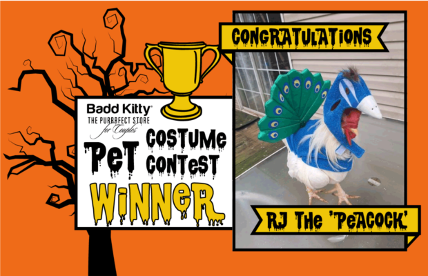 Congrats to Rebecca of Summerville, Winner of $250 + a Gift Basket