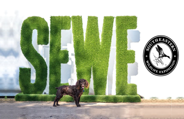 Feb. 13-15: Dock Dogs, Art, Wildlife, Herding Demos, Vendors & More Feb. 13-15: Dock Dogs, Art, Wildlife, Herding Demos, Vendors & More