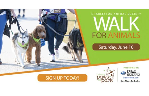 Bring Your Furry Friend to Celebrity Paws in the Park – June 10