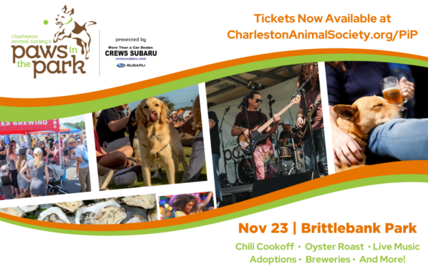 11/23: Chili Cook-Off, Oyster Roast, Dog Play Zones & More! 11/23: Chili Cook-Off, Oyster Roast, Dog Play Zones & More!