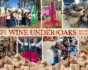 Tickets on Sale for the Lowcountry’s Premier Wine Event – Dec. 7