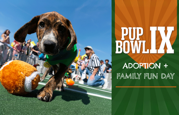 Advance Tix on Sale Now for Pup Bowl IX – Feb. 7